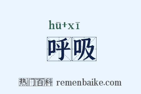 呼吸是什么意思的图片
